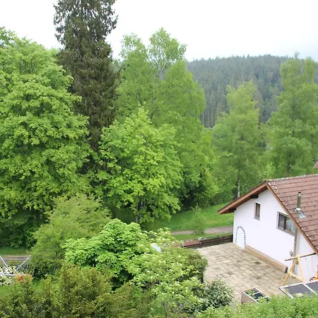 Stern Friedenweiler